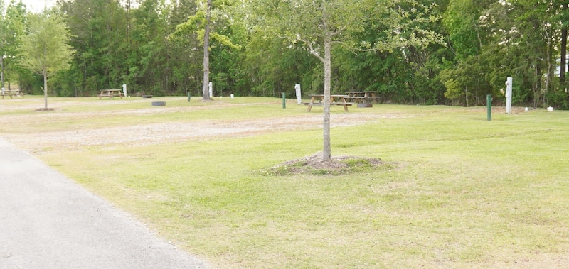 Back In Site-2